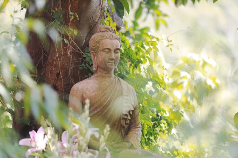 139323554 1393237684360374 8604493876007007080 n 1426 0929 1