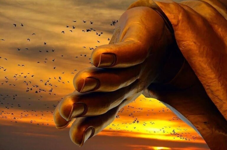 14040117 315951835422303 5235440247347944514 n 1424 1