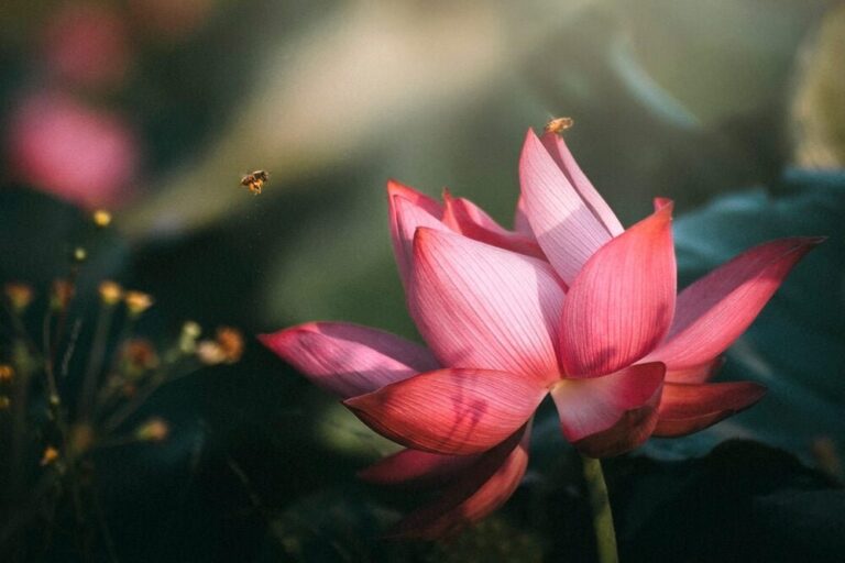 186587752 2986383268166499 7867562170415111934 n 1348 1