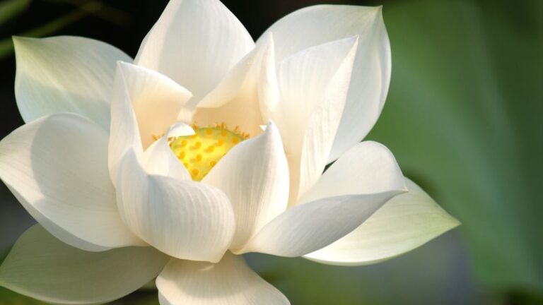 1920x1080 761dd7168313066 0901 1