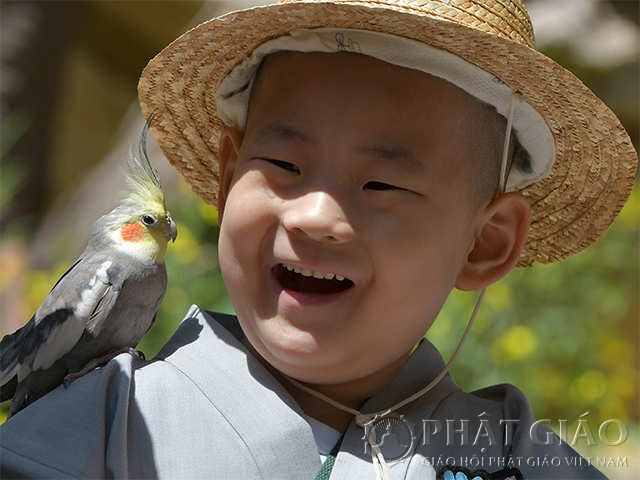 Hình ảnh vui nhộn của các chú tiểu Hàn Quốc dễ thương 2