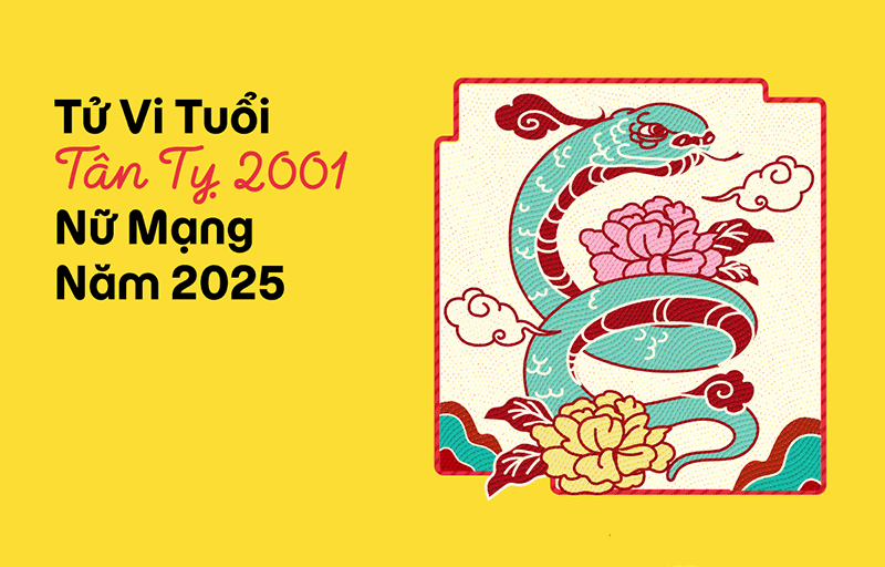 2025 la nam nu Tan Ty se phai doi mat voi nhieu van han nguy hiem nen phai can than trong moi quyet dinh