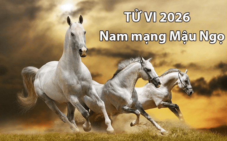 2026: Nam Mậu Ngọ đối mặt Thái Tuế - Vận trình biến động thế nào? 2 2026 la nam day kho khan va thach thuc voi nam mau ngo vi day la nam tuoi se phai doi mat voi nhieu hung tinh 1