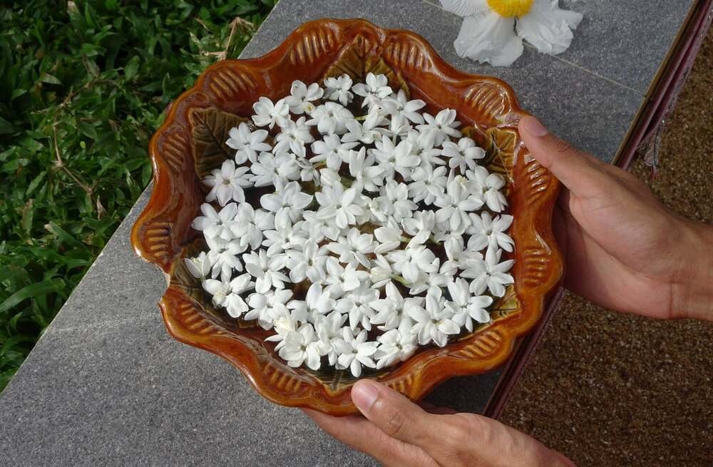 Ý nghĩa của bố thí ba la mật trong đạo Phật 1