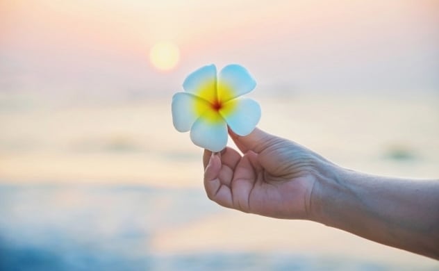 Ý nghĩa của bố thí ba la mật trong đạo Phật 2