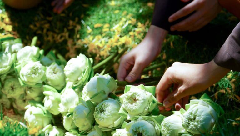 279238593 2182998125192208 7600000253980429934 n 1314 1