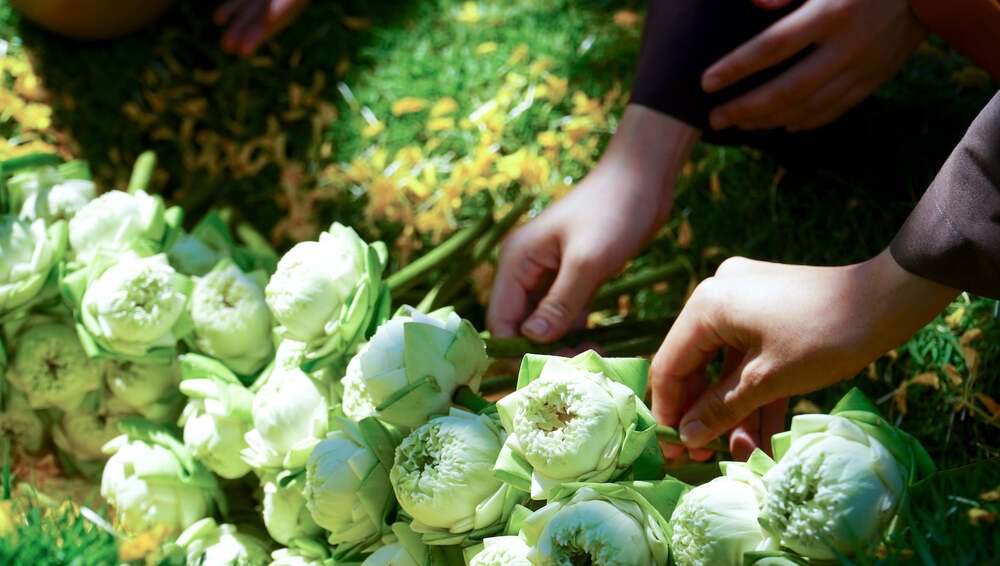 279238593 2182998125192208 7600000253980429934 n 1314 1