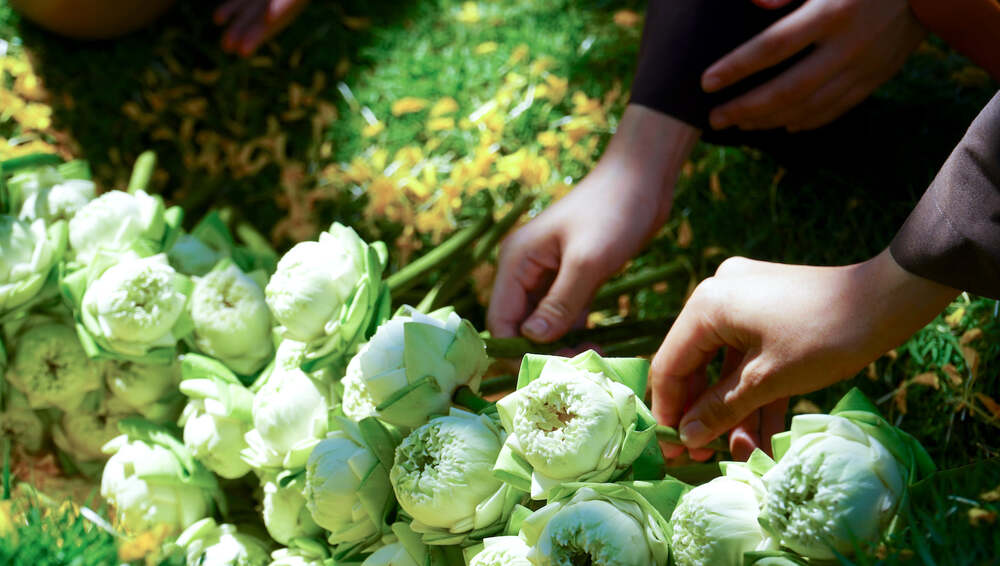 Sinh ly, tử biệt!