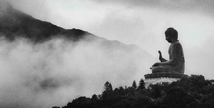 287107171 1986307961559268 3852839496993625040 n 1237 1