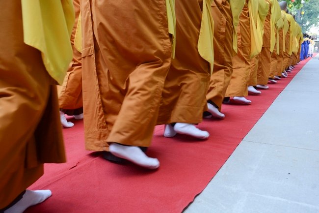 29242020 10244214 0906 1