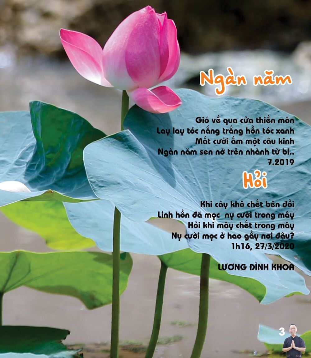 Những bài thơ Thiền cực ngắn góp lời từ bi 3