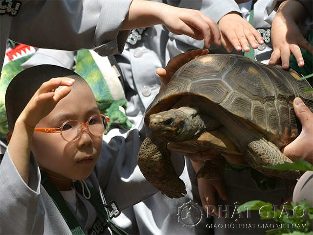 Hình ảnh vui nhộn của các chú tiểu Hàn Quốc dễ thương 3