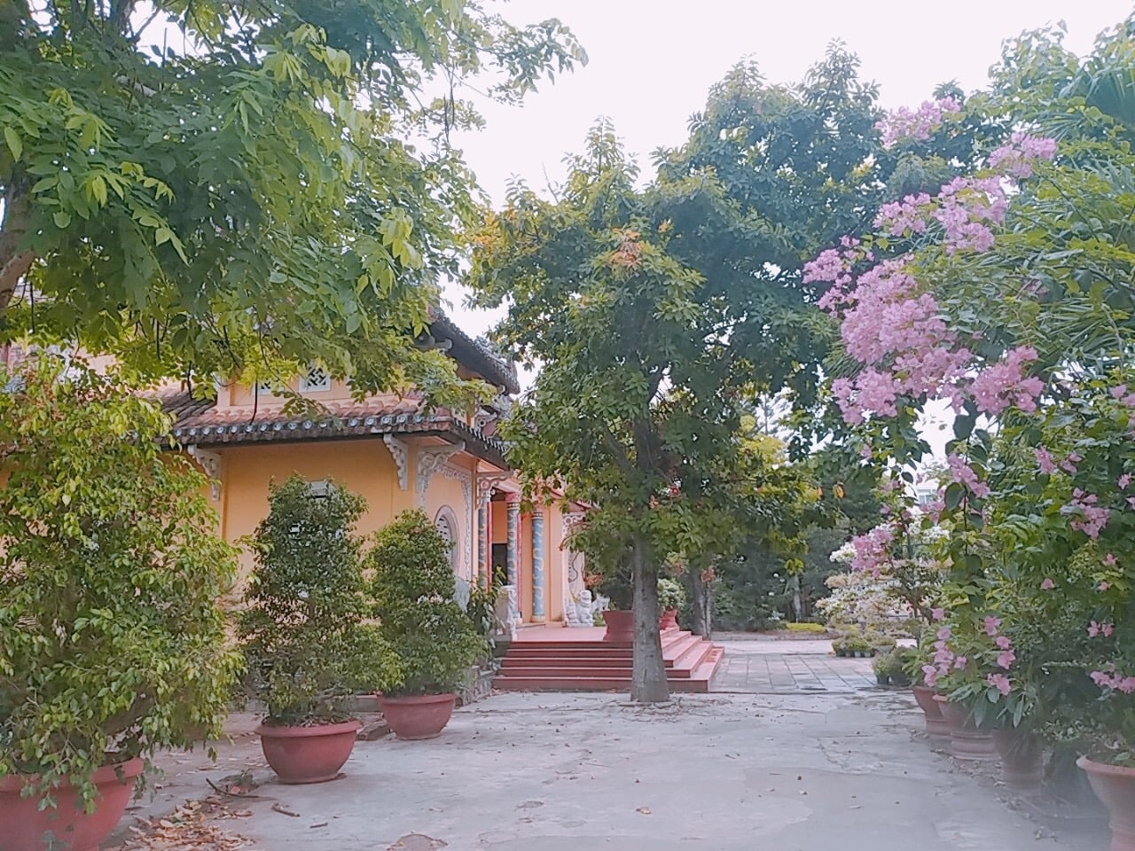 Vẻ đẹp an lạc của chùa Thọ Quang bên dòng sông Cẩm Lệ thơ mộng 5