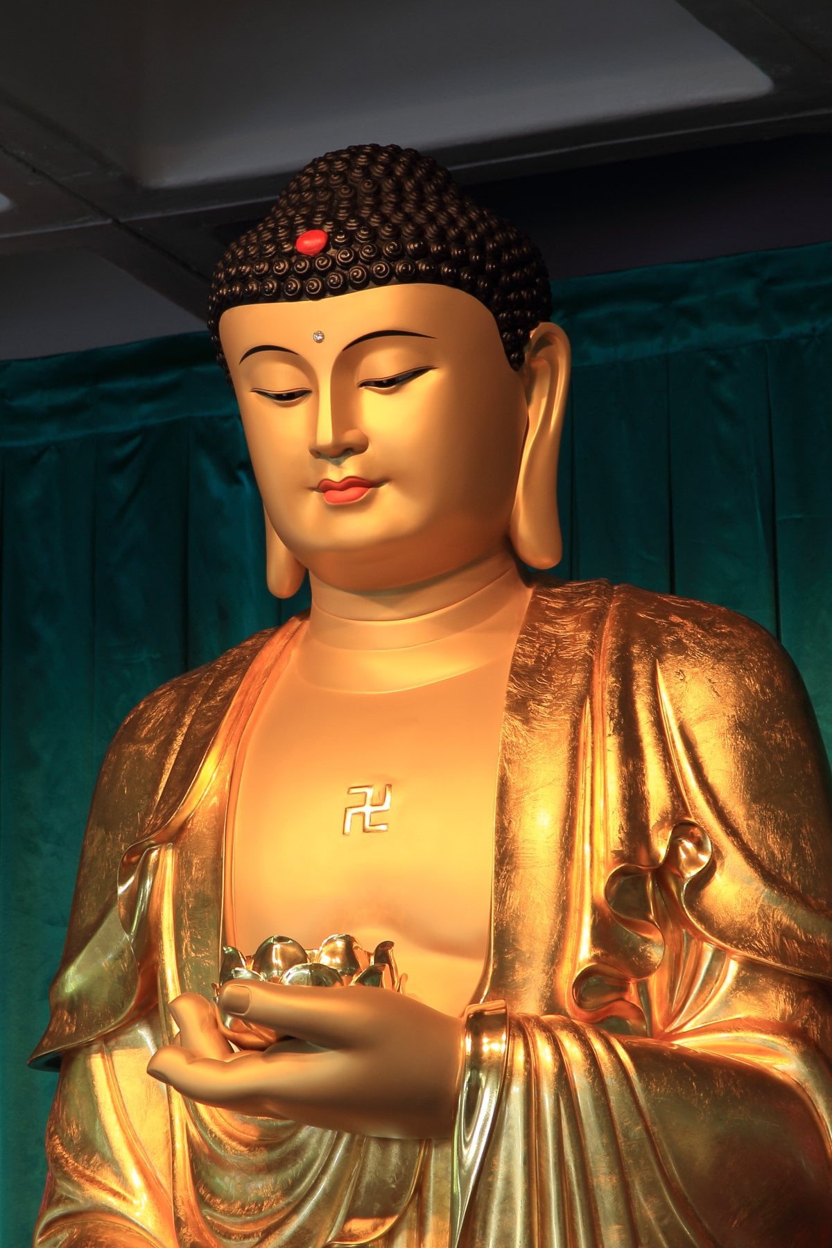 Từ, bi, hỷ, xả trong Kinh Pháp Cú 5