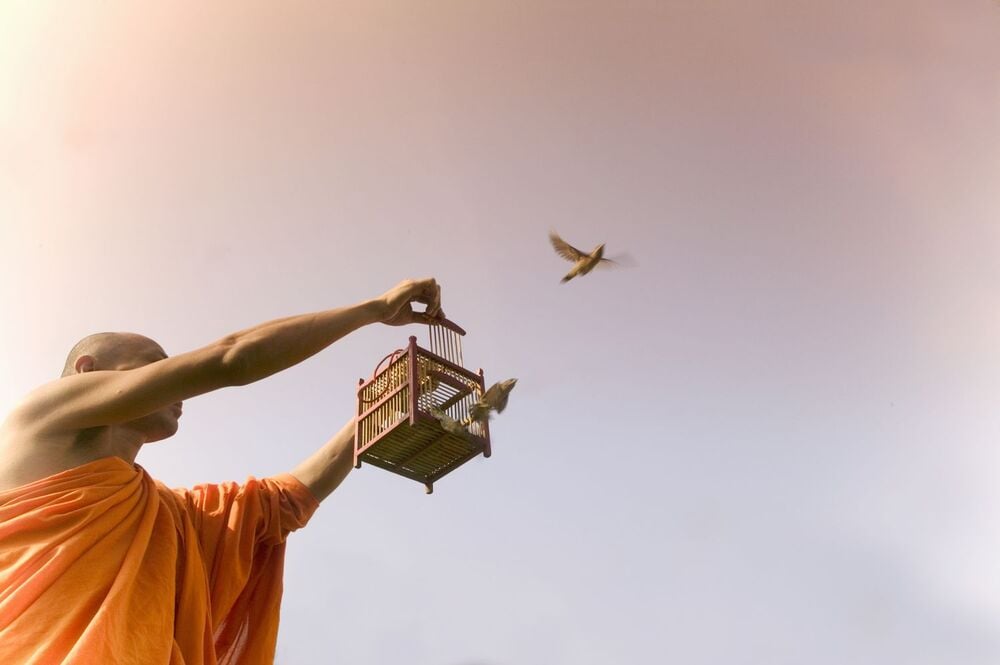 Nghi thức phóng sanh đơn giản 1