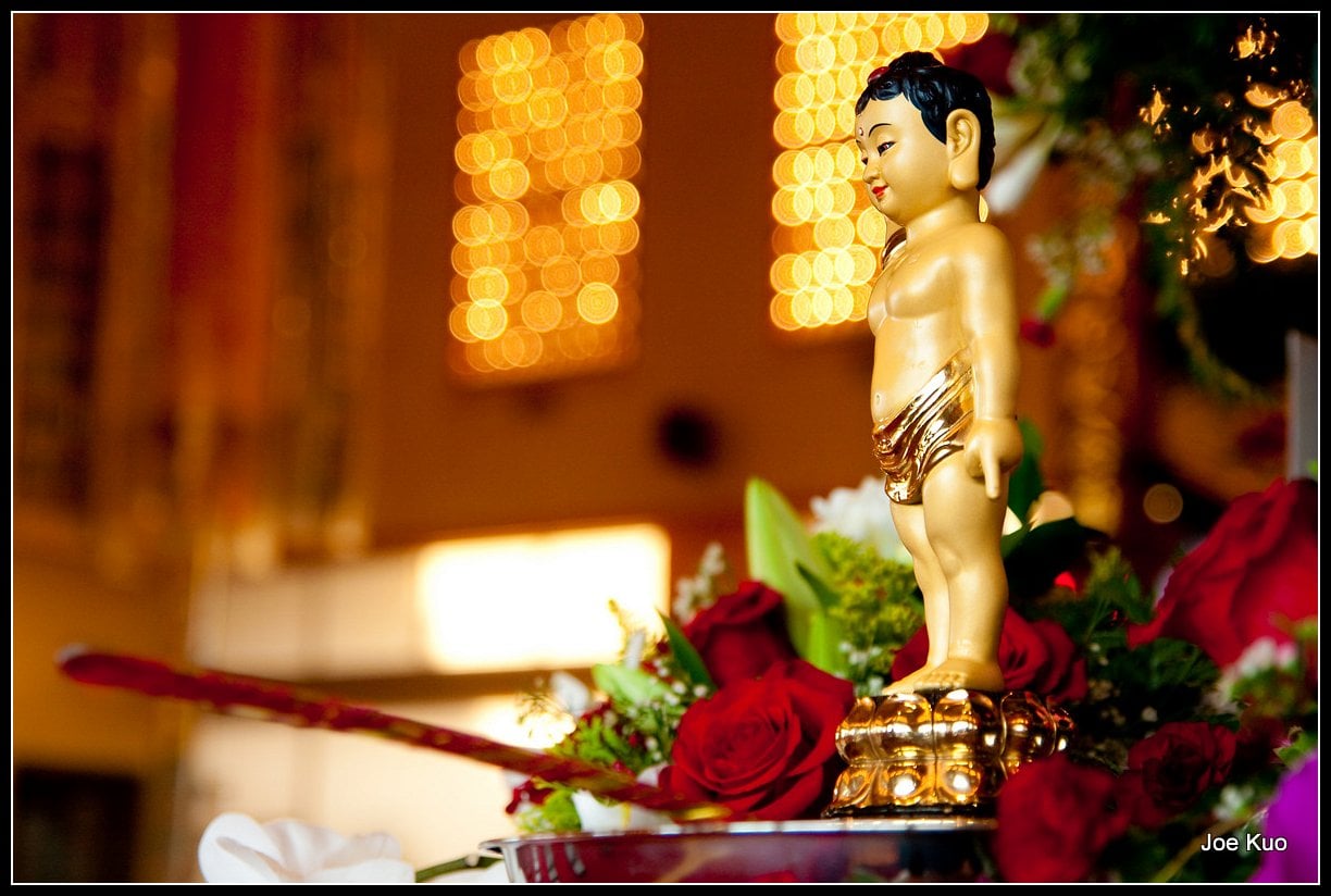 Đức Thế tôn ra đời - Sự kiện hi hữu của thế gian 1