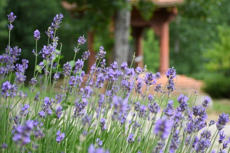 358097177 1011552116867394 1775594759176002006 n 1915 1