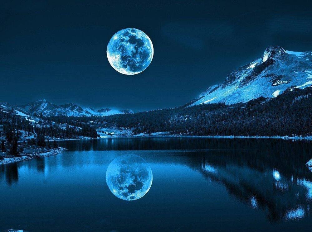 36745655 244063903070487 4397085525056421888 n 1302 1