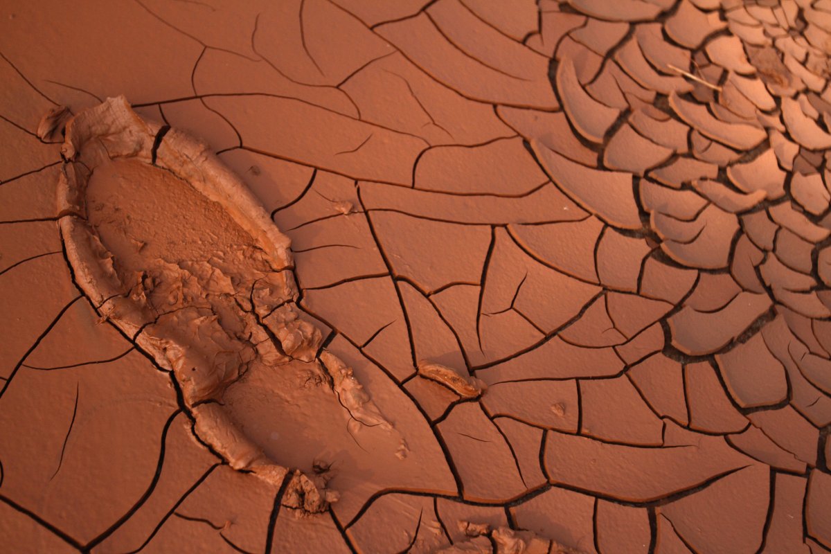 16 bức ảnh gây sốc cho thấy nguồn nước trên toàn thế giới đang ô nhiễm nghiêm trọng 4