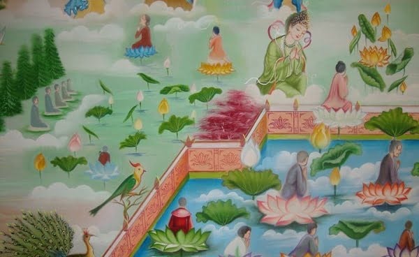 Hoa sen ở Tây Phương Cực Lạc do đâu mà có? 1