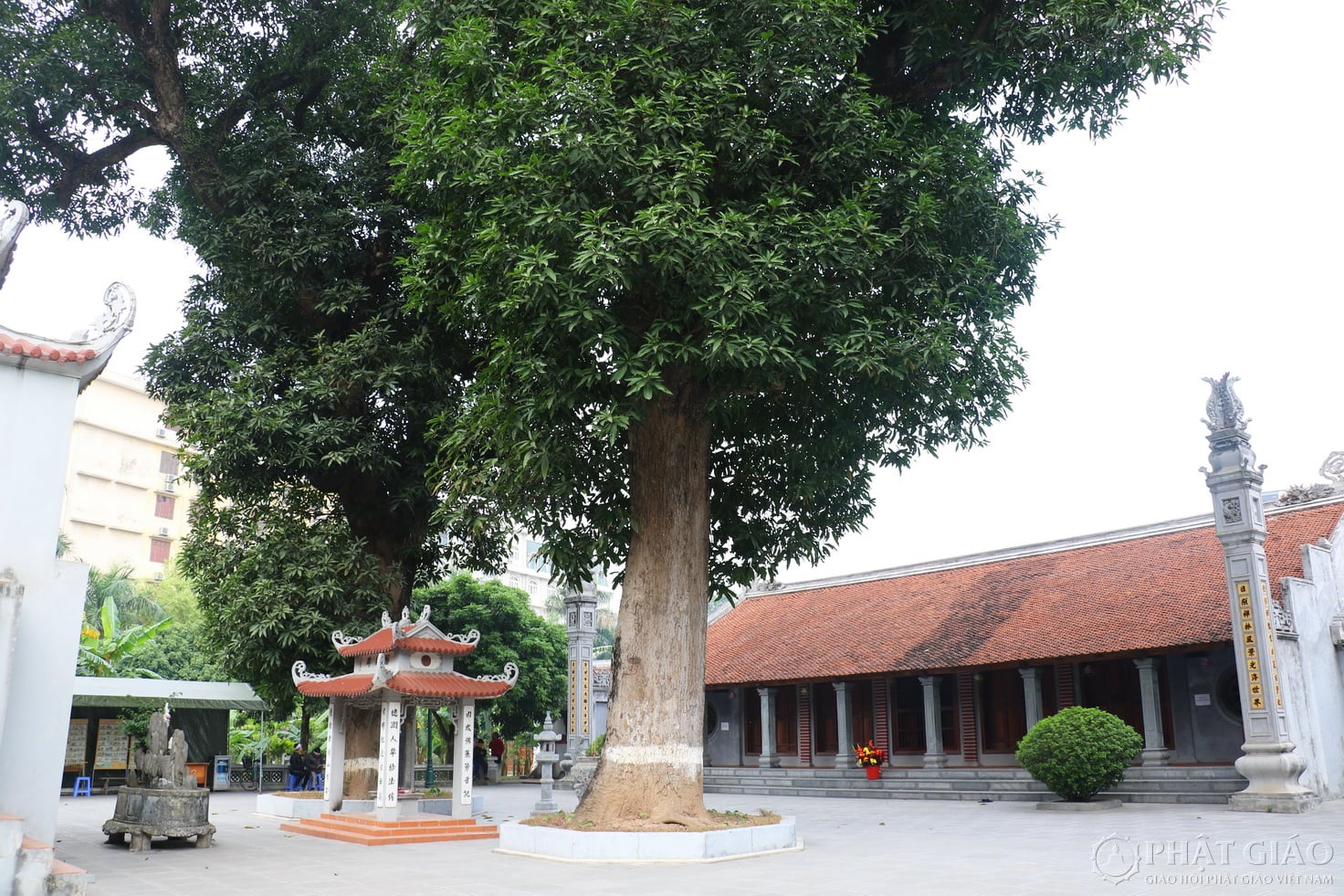 Chùa Thánh Chúa – “đài sen” giữa lòng trường Sư phạm 2