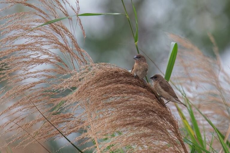 411388734 944756830346324 1203255890231633020 n 2057 1