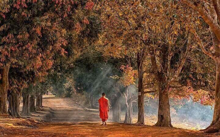 42155107_1903212973092817_1725804806850740224_n-1152 Ít nói là bạc, im lặng là vàng 1