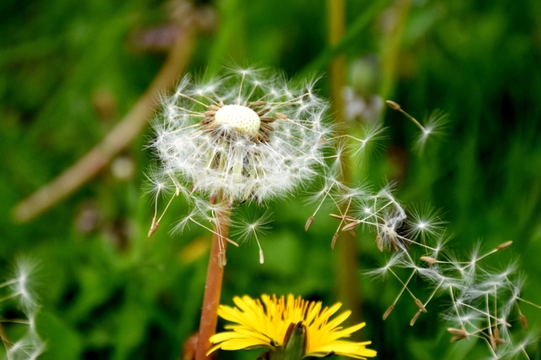 Hiểu đúng về nhân duyên quá khứ và hiện tại 1