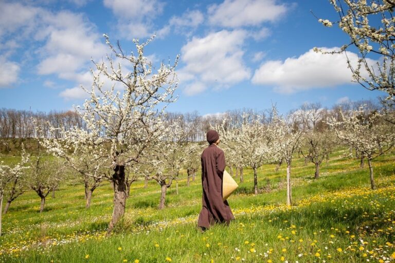 434455011 469288872425463 400331282804363329 n 1948 1