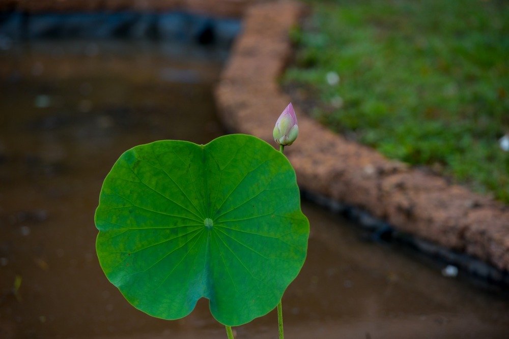 434831977 913962573856033 8527149277310662047 n 1509 1