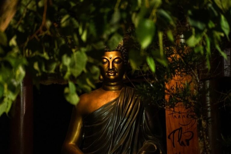 442489575 782843160616072 1667739510820206033 n 1214 1