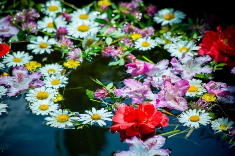 445202748 1211567376865866 6525295485640078048 n 0859 1