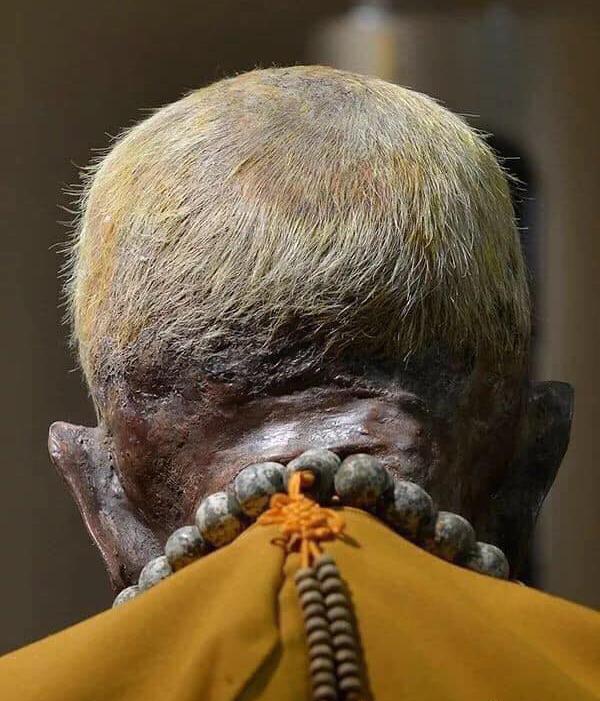 Nhục thân bất hoại của Hòa thượng Hải Hiền 12