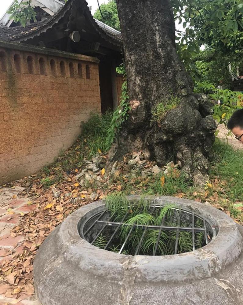 Chùa Nôm - Ngôi chùa giữ kỷ lục về tượng đất 22