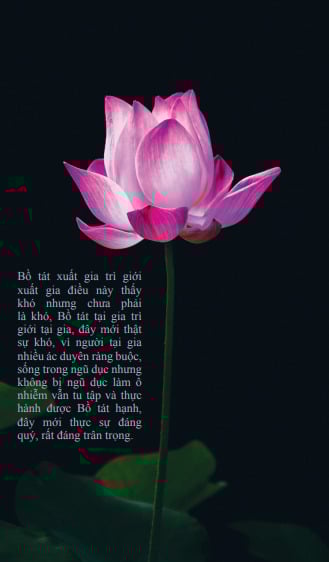 Giới Bồ tát trong Kinh Phạm Võng và Kinh Ưu-Bà-Tắc Giới 5