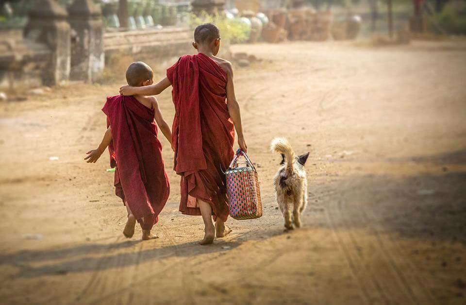 Thất tình và lục dục làm chướng ngại tâm tu đạo 1