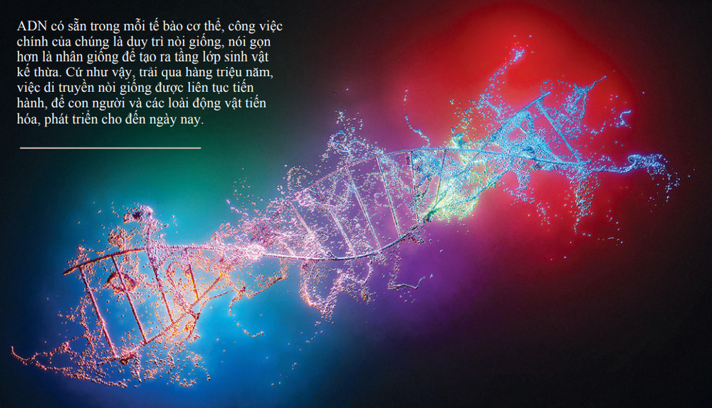 58-1127 Nguồn gốc loài người từ góc nhìn tôn giáo và khoa học 2