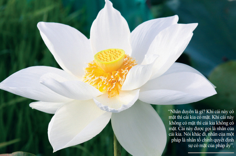 60-1128 Nguồn gốc loài người từ góc nhìn tôn giáo và khoa học 4