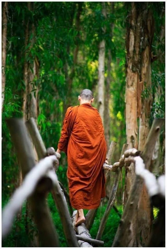 Ý nghĩa sâu sắc của xuất trần trong đời sống tâm linh 2 69593387 758240861297640 3398519342566998016 o 1055 1