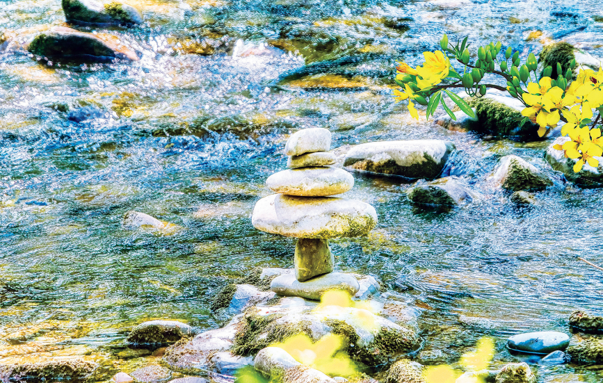 Cõi Phật – Cõi tâm 4