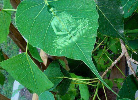 Tâm Bồ Đề là gì ? 2