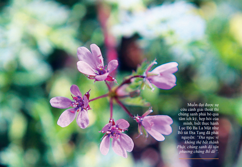 Hình tượng Đức Phật Đản sanh và đi bảy bước trên bảy đóa sen 2