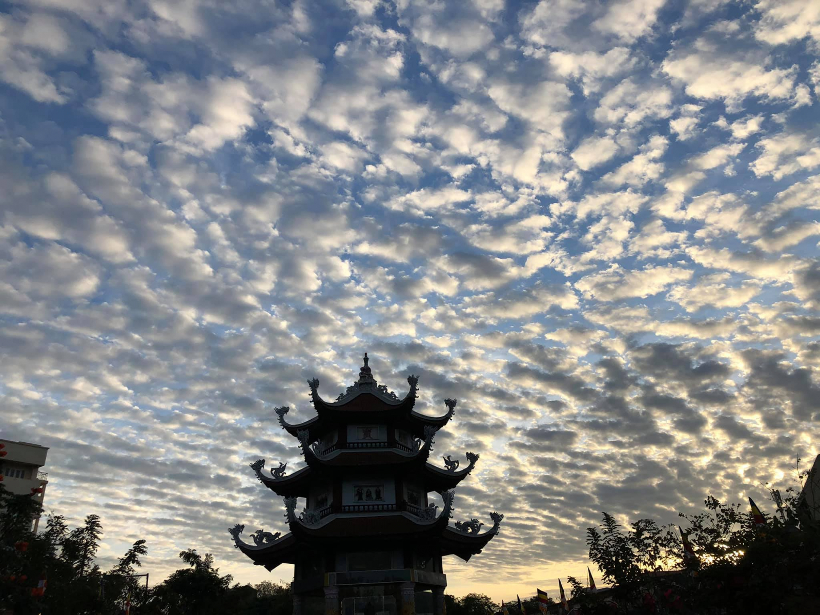 92682201_3470105493006768_412560771608739840_o-1434 Hoa Linh Tự: Nơi chứa đựng kho tàng lịch sử 7