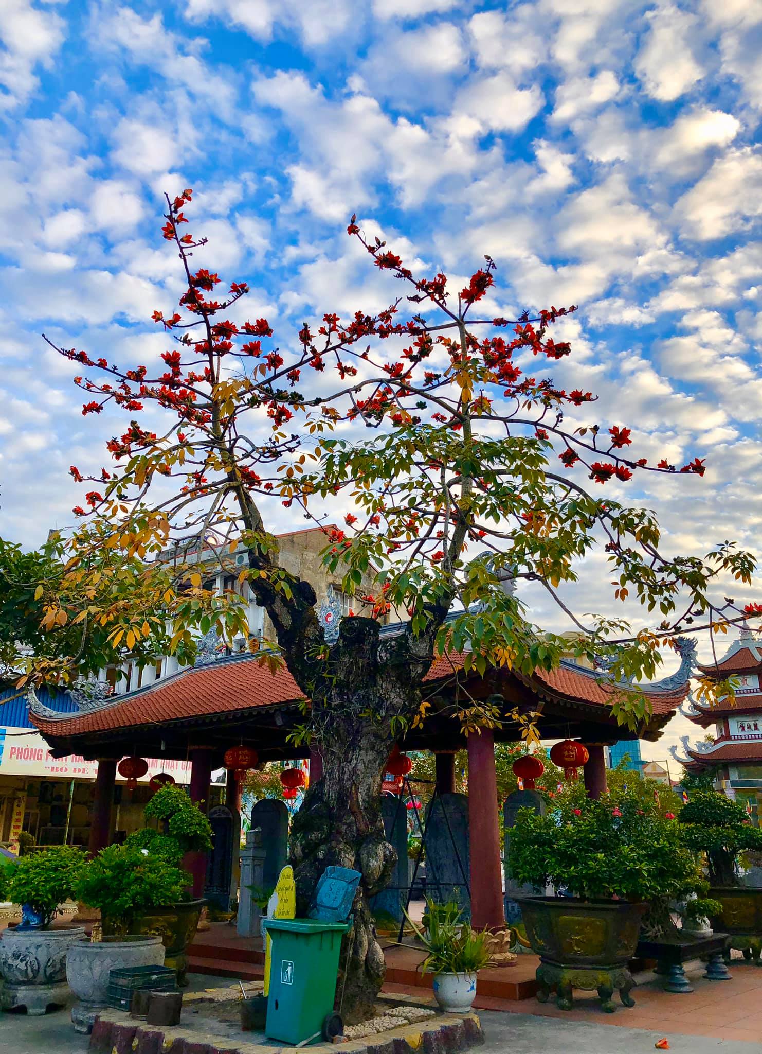 93350830_3470105276340123_3499856046489337856_o-1434 Hoa Linh Tự: Nơi chứa đựng kho tàng lịch sử 4