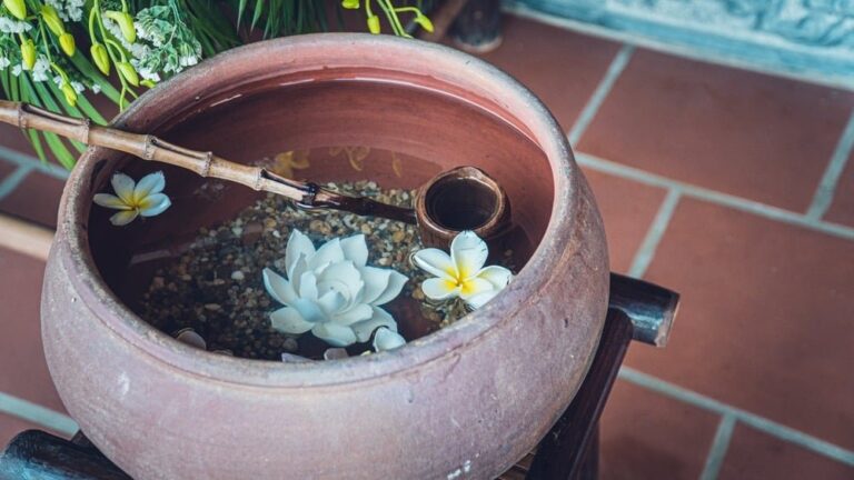 5 dấu hiệu bạn đang yêu thương bản thân đúng cách 2 94977512 1170418953308916 1809153990168936448 n 0827 1