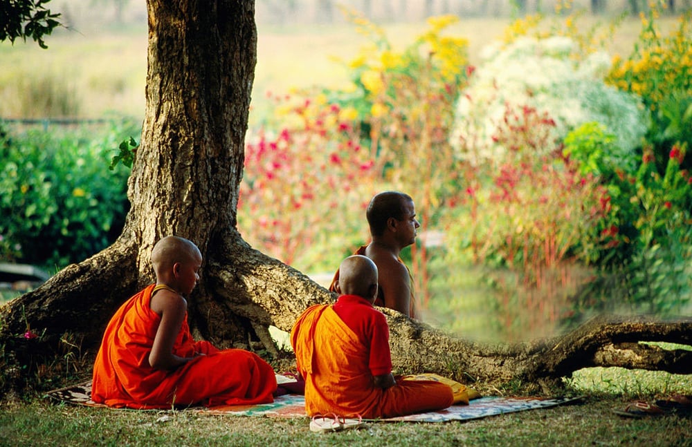 Sống không phóng dật là như thế nào? 1