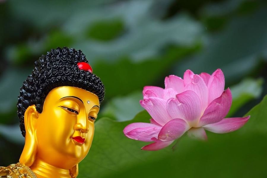 Bốn Pháp vị tha: Ái ngữ, Bố thí, Lợi hành, Đồng sự 1