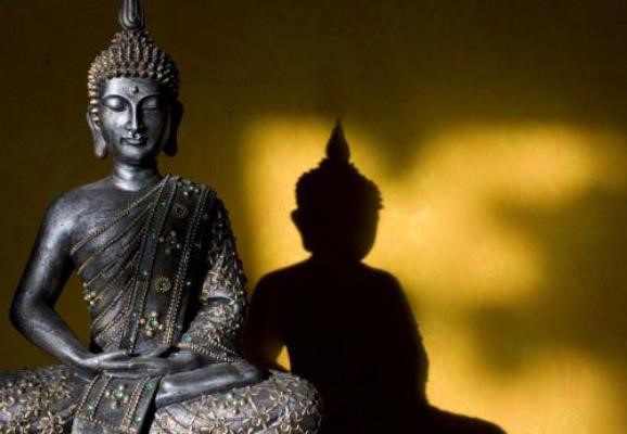 Gieo nhân nào sẽ gặt quả đó 1