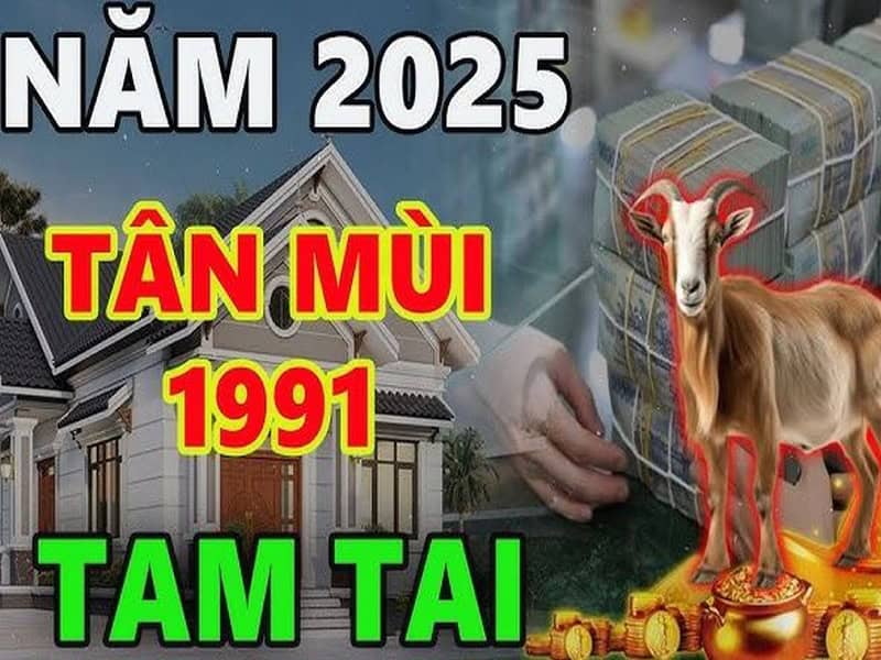 anh huong khac biet cua 3 nam tam tai tuoi 1991