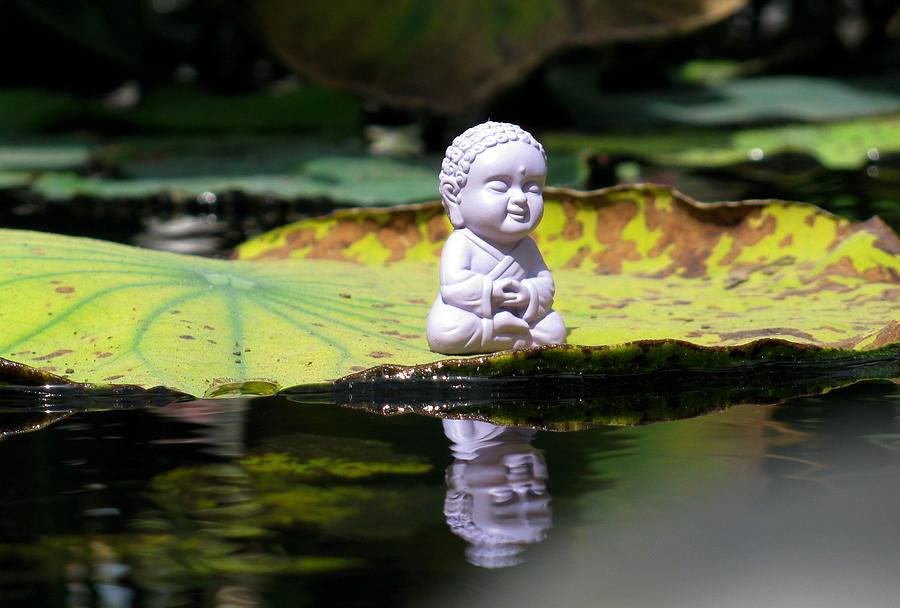 Lời Phật dạy về